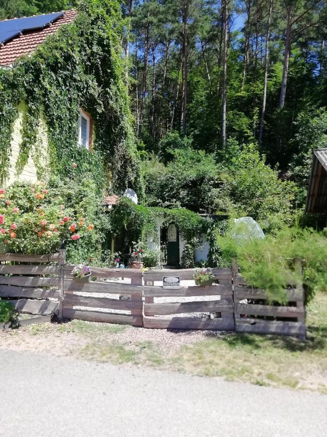 Violeta Villa Dambach Exterior photo